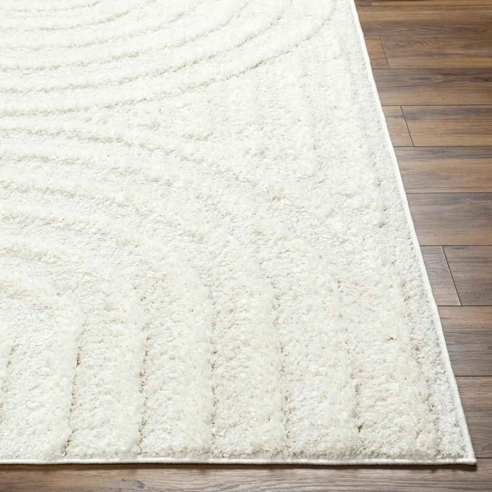 Bartletto Beige Shag Area Rug ( 12' x 15' ) - Image 3